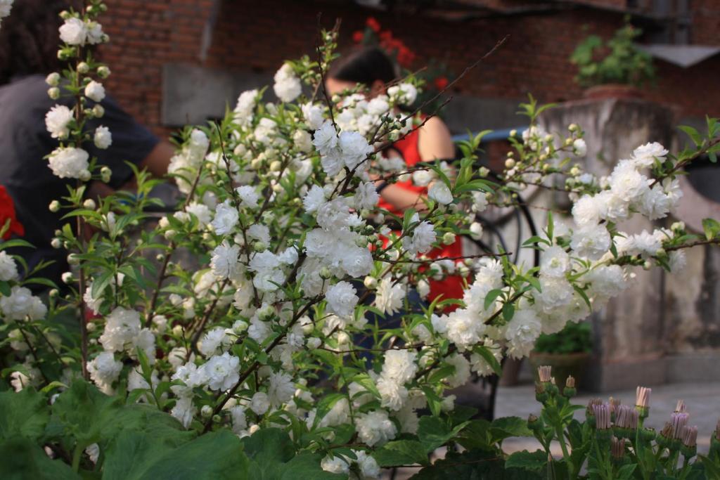 Tasi Dhargey Inn Kathmandu Exterior photo